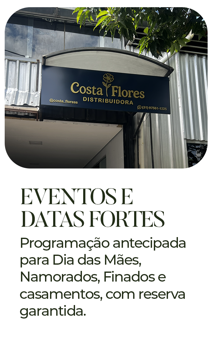 4 copiar